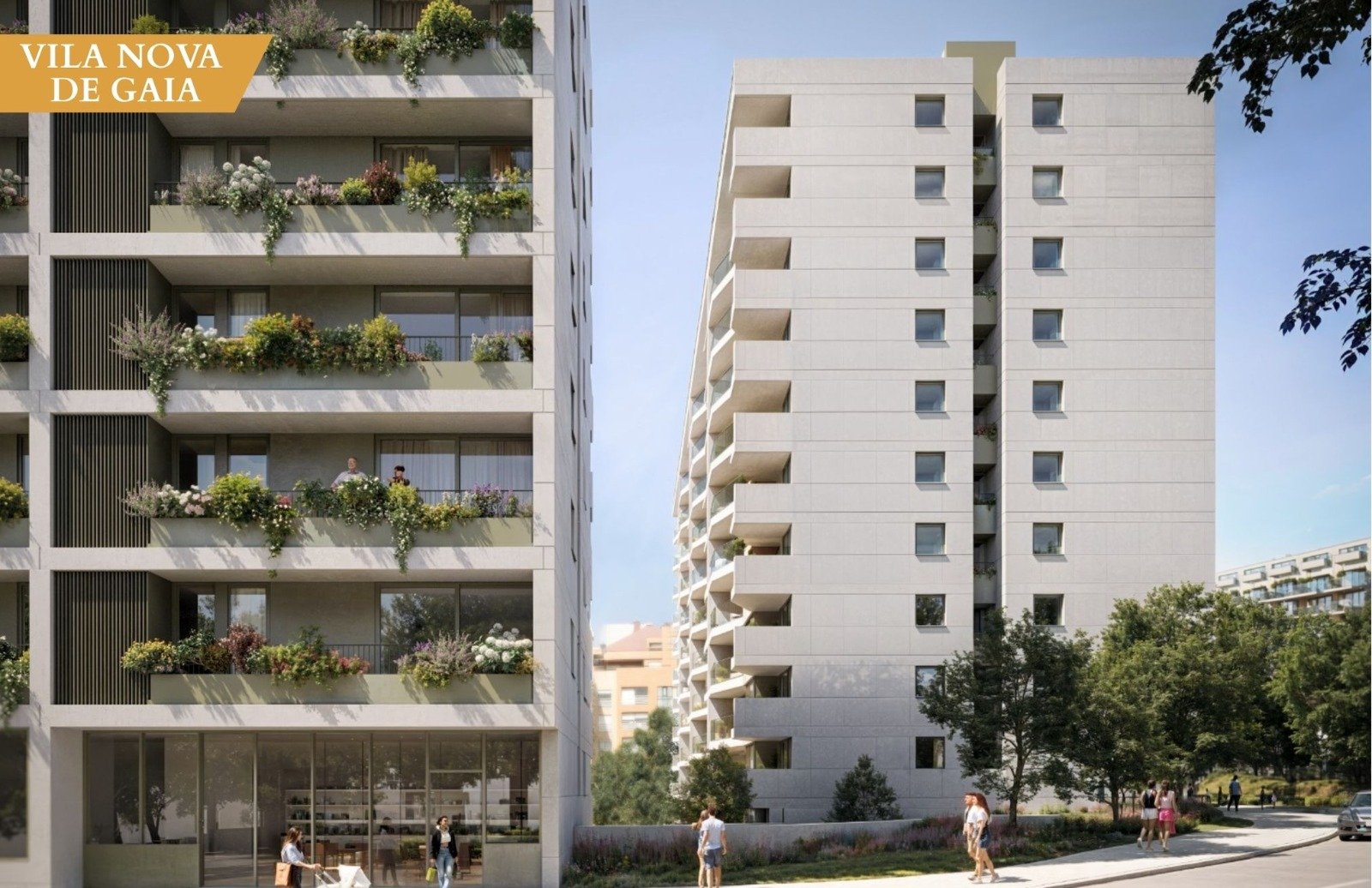 WhatsApp Image 2026-01-29 at 08.22.19 (1)