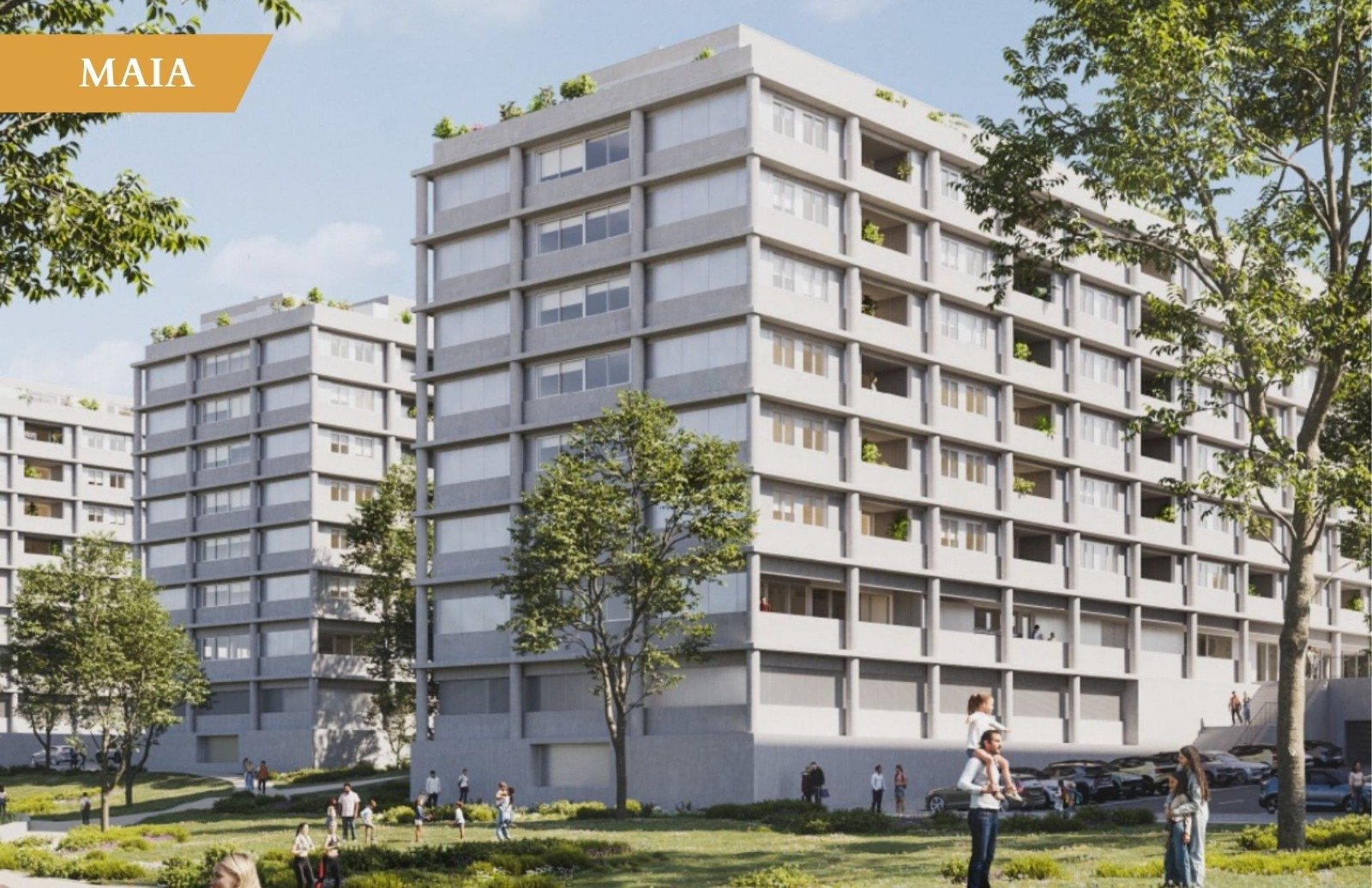 WhatsApp Image 2026-01-29 at 08.22.19 (4)